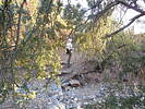 photo thumbnail #7