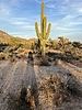 photo thumbnail #2