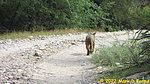 2022-09-29 :1: Bush & Salt Area On-Off Trail Biking :: CannondaleKid