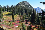 photo thumbnail #14
