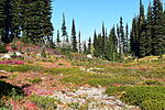 photo thumbnail #11
