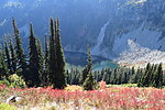 photo thumbnail #9