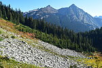 photo thumbnail #3