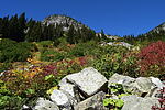 photo thumbnail #2