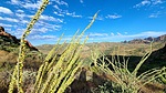 photo thumbnail #10