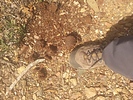 photo thumbnail #14