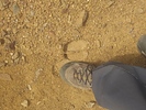 photo thumbnail #13