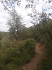 photo thumbnail #12