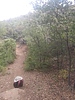 photo thumbnail #11