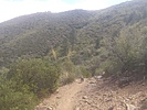 photo thumbnail #9
