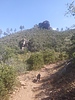 photo thumbnail #6