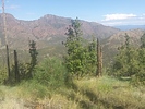 photo thumbnail #4