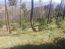 photo thumbnail #2