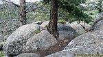 photo thumbnail #4