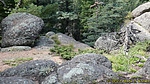 photo thumbnail #5