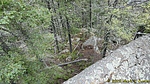 photo thumbnail #11