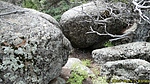 photo thumbnail #12