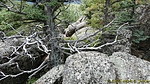 photo thumbnail #14