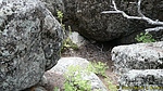 photo thumbnail #15