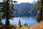 photo thumbnail #7