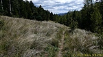 photo thumbnail #10