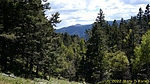 photo thumbnail #11