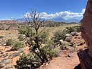 photo thumbnail #6
