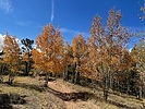photo thumbnail #5