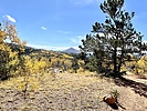 photo thumbnail #6