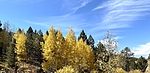 photo thumbnail #9