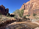 photo thumbnail #12