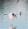 photo thumbnail #15
