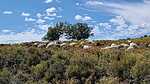 photo thumbnail #12
