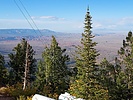 photo thumbnail #7