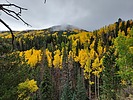 photo thumbnail #11