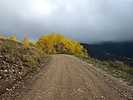 photo thumbnail #9