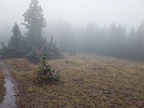 photo thumbnail #14