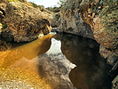 photo thumbnail #11