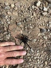 photo thumbnail #6