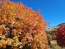 photo thumbnail #13