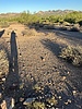 photo thumbnail #5