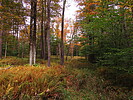 photo thumbnail #11