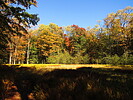 photo thumbnail #15
