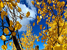 photo thumbnail #12