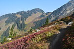 photo thumbnail #9