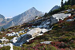 photo thumbnail #12