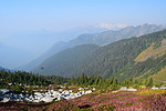 photo thumbnail #11