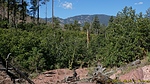 photo thumbnail #8