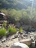 2022-10-11 :2: Ventana Canyon Trail #98 :: BubbaJuice
