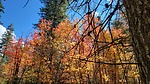 photo thumbnail #10